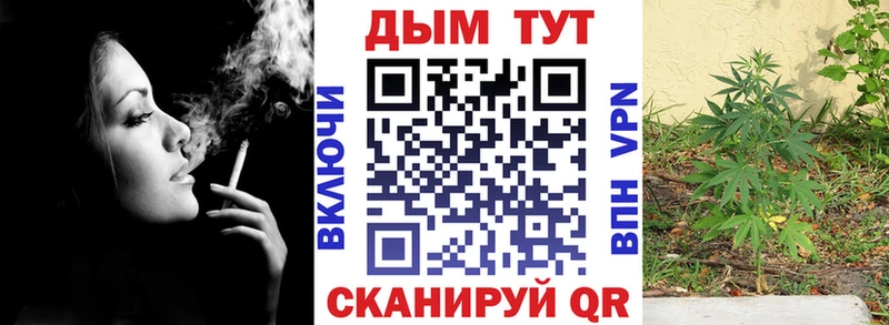 площадка официальный сайт  гидра как войти  Суздаль  Каннабис Amnesia 